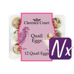 Clarence Court Quail Eggs