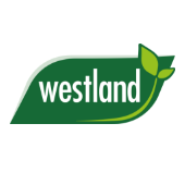 link to category Westland