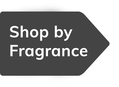 Shop by fragrance