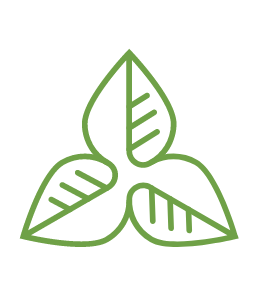 natural icon