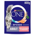 Purina ONE Adult Dry Cat Food Salmon and Wholegrain