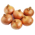 Wholegood Organic Onions