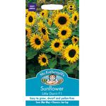 Mr Fothergills Sunflower Little Dorrit F1 Seeds