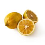 Natoora Italian Organic Unwaxed Lemons
