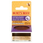 Burt's Bees Intensive Overnight Lip Treatment