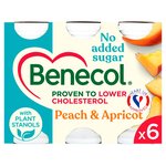 Benecol Cholesterol Lowering Yoghurt Drink Peach & Apricot No Added Sugar