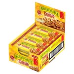 Nature Valley Protein Salted Caramel Nut Cereal Bars