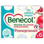 Benecol Cholesterol Lowering Pomegranate Yoghurt Drink 