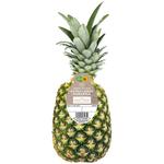M&S Extra Large Pineapple