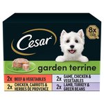 Cesar Garden Terrine Dog Food Tray Mixed in Loaf 