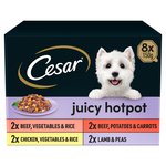 Cesar Juicy Hotpot Adult Wet Dog Food Trays Mixed in Gravy 