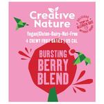 Creative Nature Berry Blend Fruit Oatie MPK