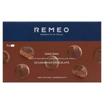 Remeo Gelato Ecuadorian Chocolate Gems 