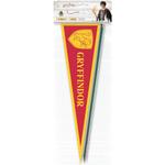 Harry Potter Fabric Pennants Bunting