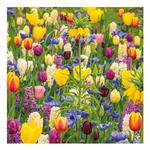 Gardeners World Tulip Meadow Blank Card