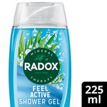 Radox Feel Active Mood Boosting Shower Gel