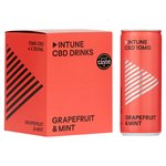 INTUNE Grapefruit & Mint Sparkling CBD Drink