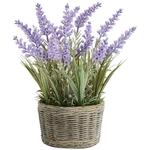 M&S Lavender In Resin Wicker Pot, Purple