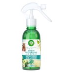 Airwick Stacey Morning Meadow Room Air Spray