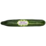 Ocado Large Cucumber
