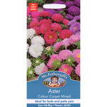 Mr Fothergill's Seeds - Aster Colour Carpet Mixed