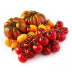 Natoora Seasonal Tomato Selection