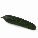 Natoora Ridge Cucumber